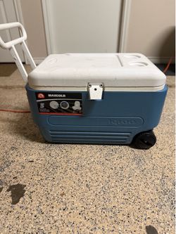 Igloo 60 Qt (56L) cooler