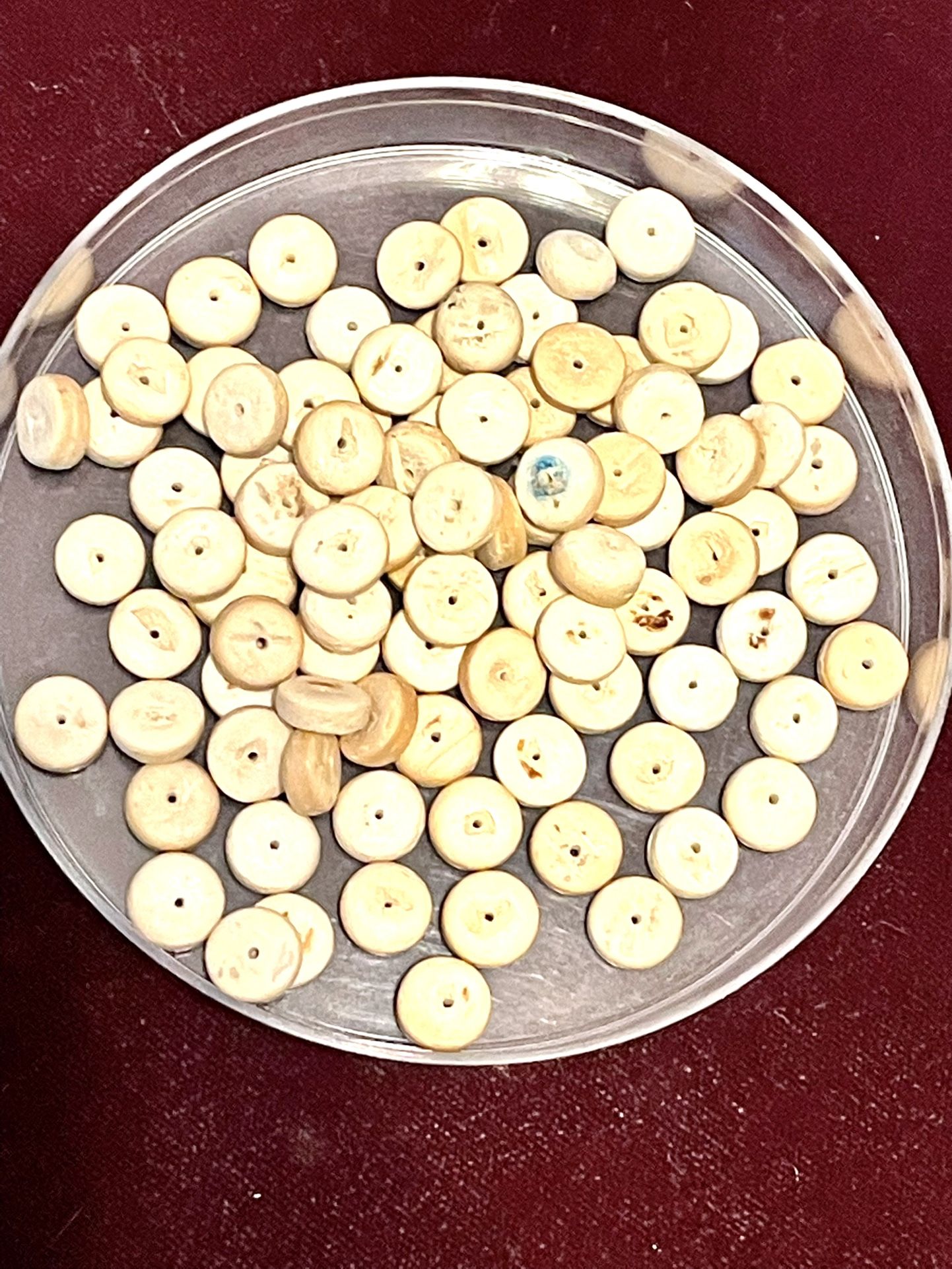 Lot Of Bone Or Wood Beads 