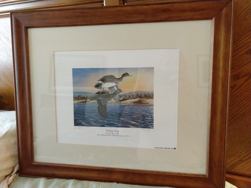 Four Rare Ducks Unlimited pictures.