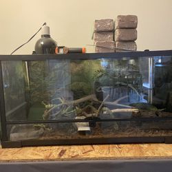 Reptile Tank
