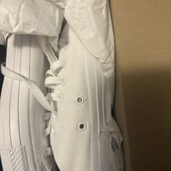 Chucks Converse New 6.5M 8.5W