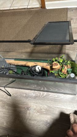 Lizard tank