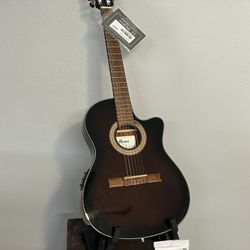 Ibanez Acoustic/Electric