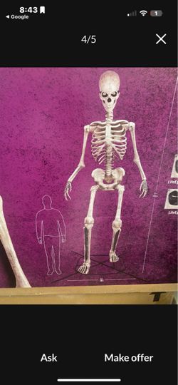 Skeleton