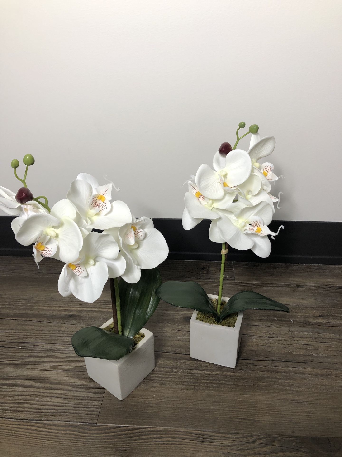 Artificial Orchids in vace