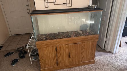 Aquarium/ Terrarium