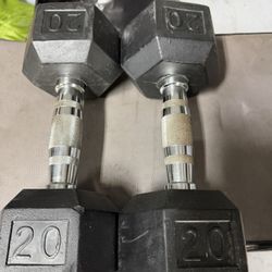 Dumbbells 20 Pounds 