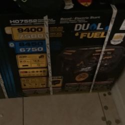 Firman Dual Fuel Generator 