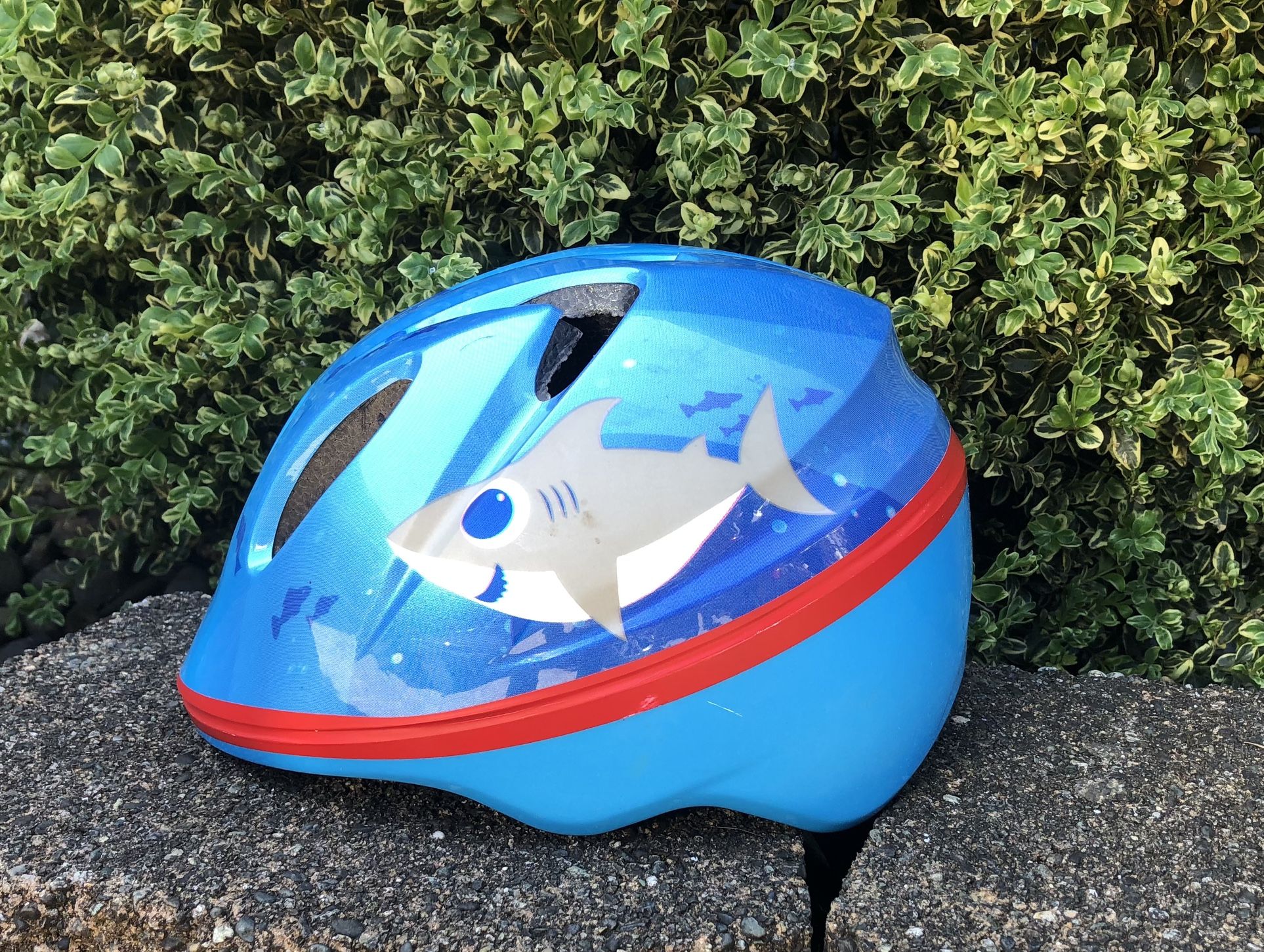 Infant Bike Helmet
