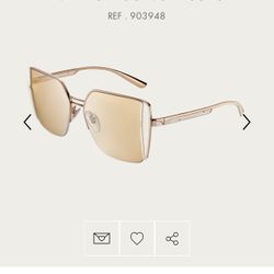 Bvlgari Stunning Glasses 