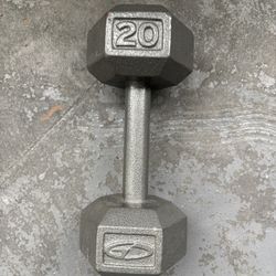 20 Pound Dumbbell 