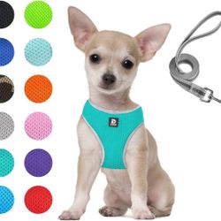 DOCIOTE Dog Harness & Leash Set - Comfort Dog Vest,  No Pull/Choke, Soft Mesh - XS, Lake Blue (NEW)