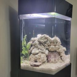 50 Gal Arcylic Octagon Tank Fresh Or Saltwater Ready