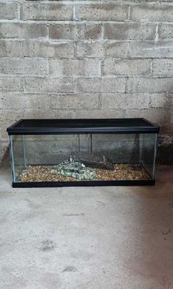 Reptile/fish tank