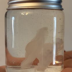 Liquid Taxidermy Jellyfish 