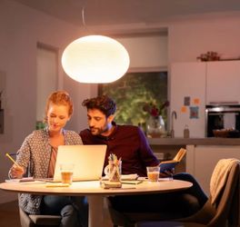 Philips Hue Flourish ceiling Pendant Light