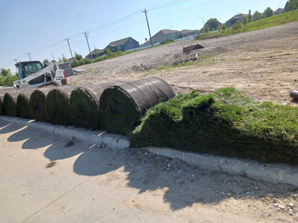 Sod Rolls For Sale