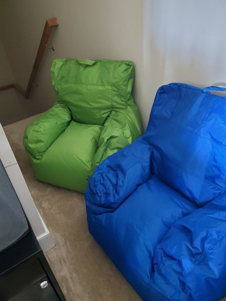 Youth/Adult bean bag chair