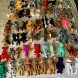 Beanie Babies Collection 91 Total