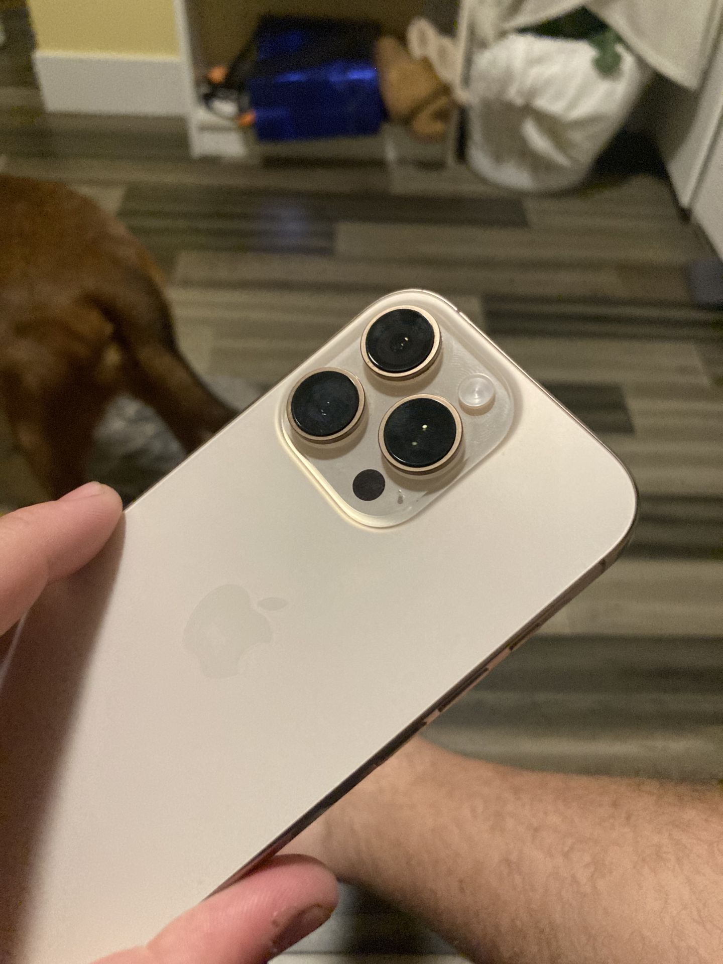 iPhone 16 Pro - 100% Battery Health - Carrier unlocked