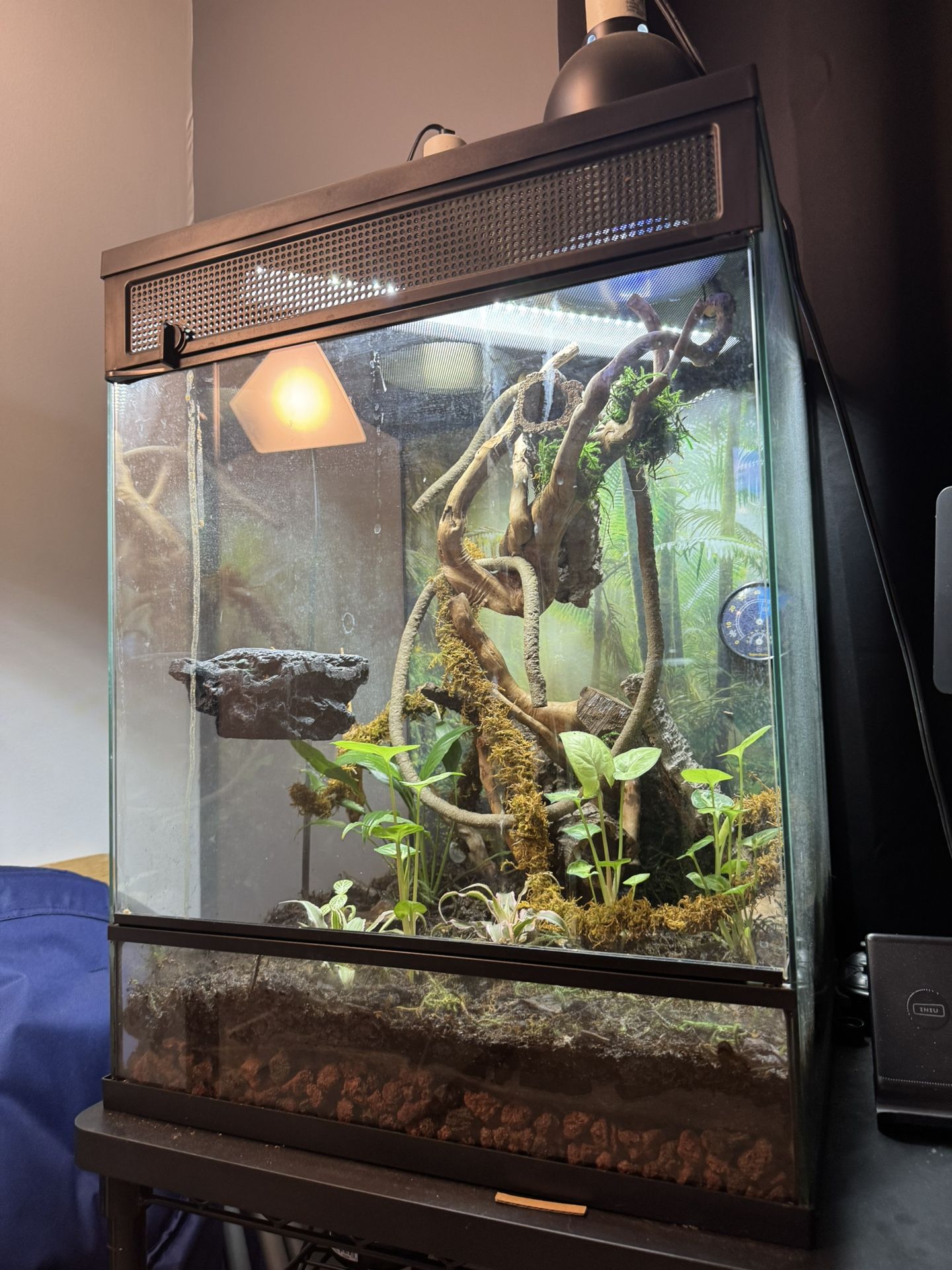 Reptile Enclosure