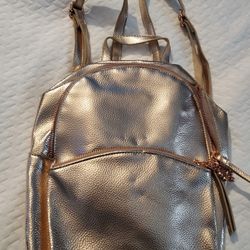  Purse Backpack
