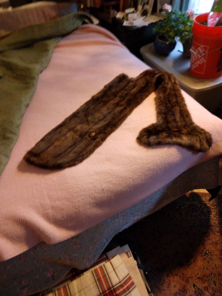 Mink Dog Coat. Fits Big Dog. $45