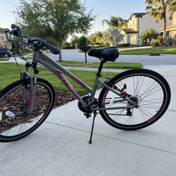 Schwinn Adult bike