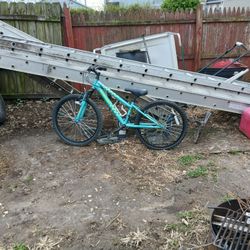 Women's  24 Inch Bike 