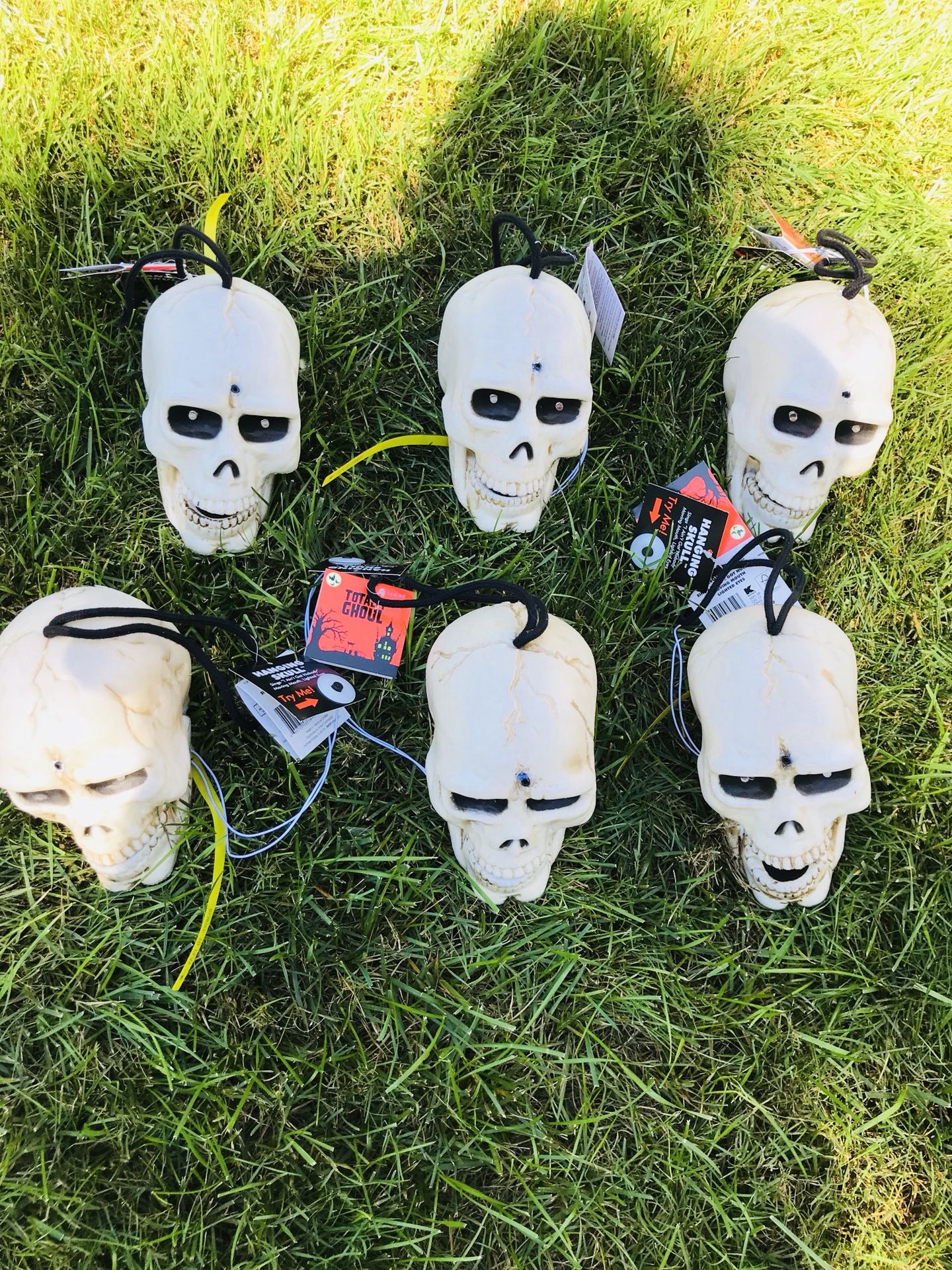 New set of Hanging Skill “ Sings I ain't got no one” moving mouth