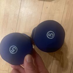 5 Pound Weights