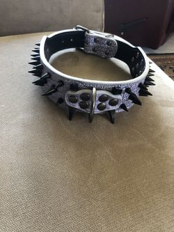 Dog collar fits a medium to large dog