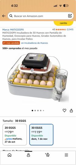 Encubadora