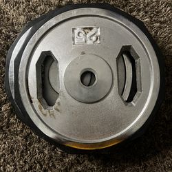 2 Rubber Fitted 25 Lb Weight Plates