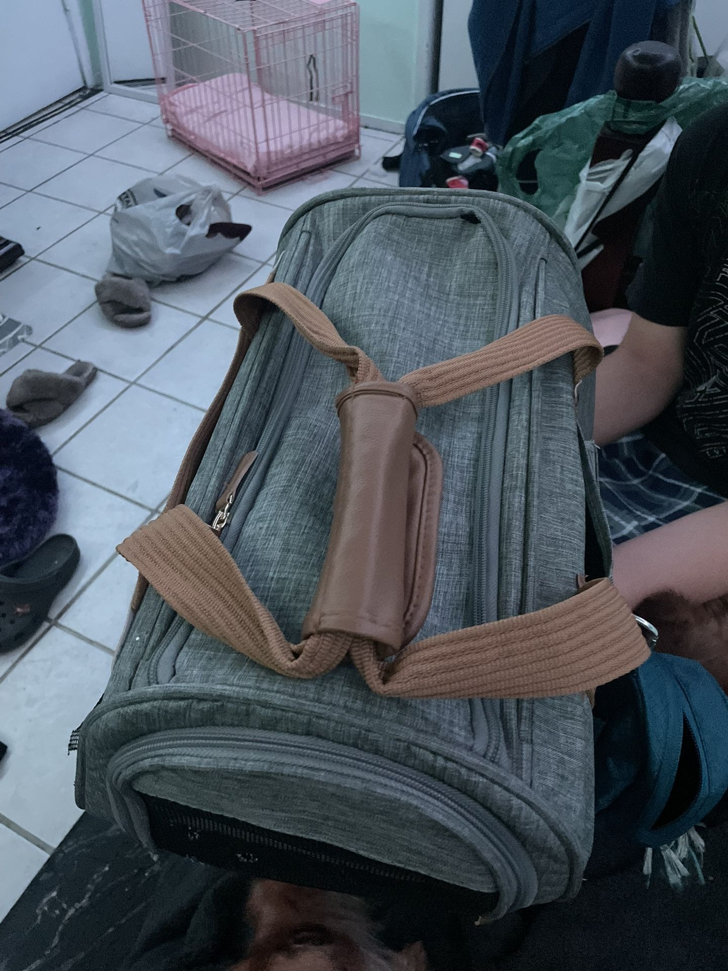 Dog Carrier