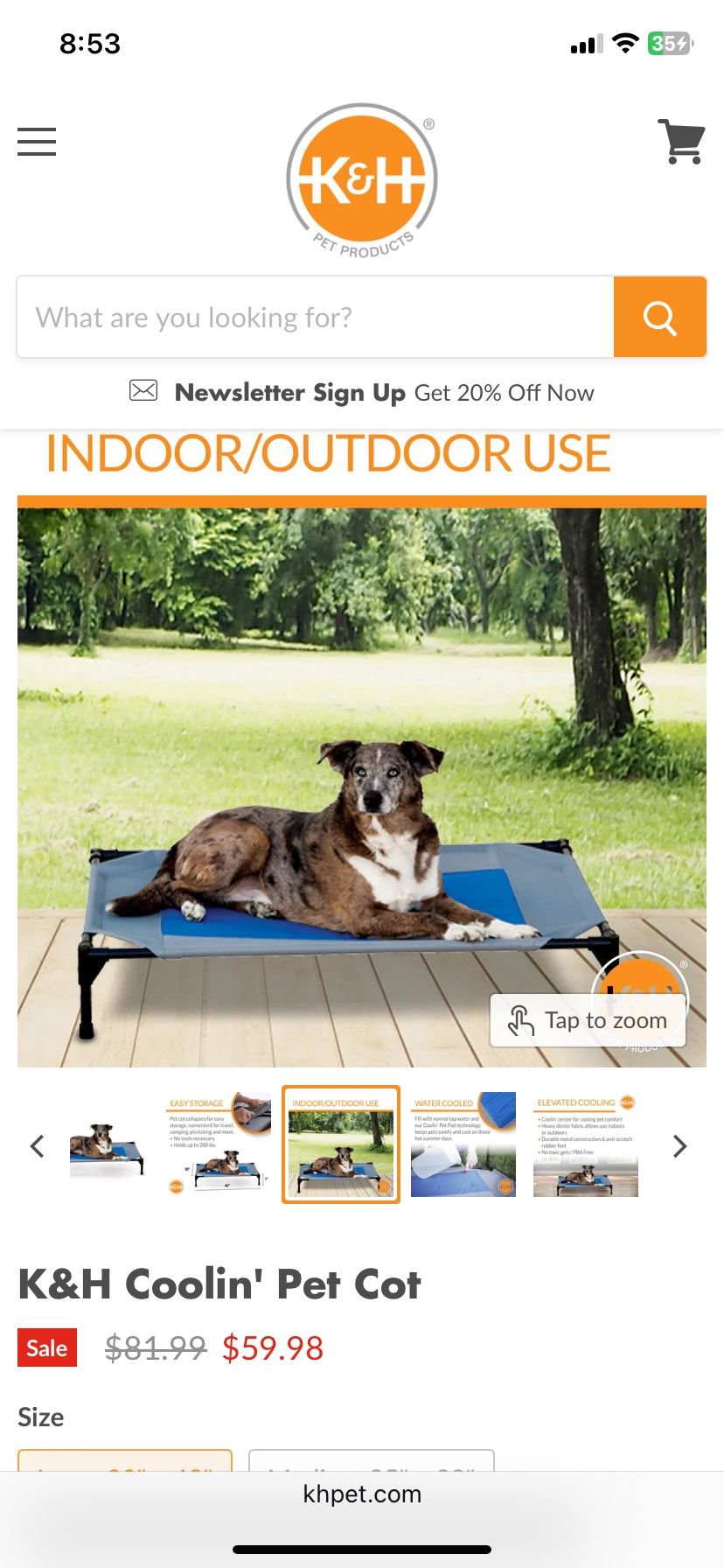 Large Cooling Cot For Dog