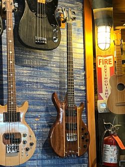 Very cool basses