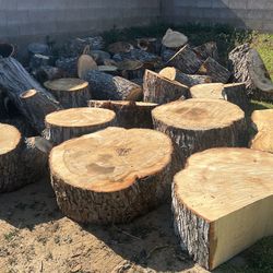 Giant Maple Wood Pieces