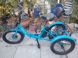 Vesla electric tricycle with charger