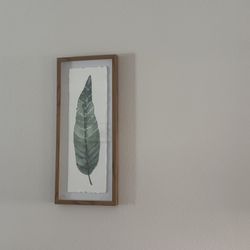 Framed Leaf Prints (set of 3)