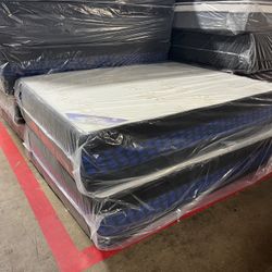 FREE DELIVER SAME DAY 