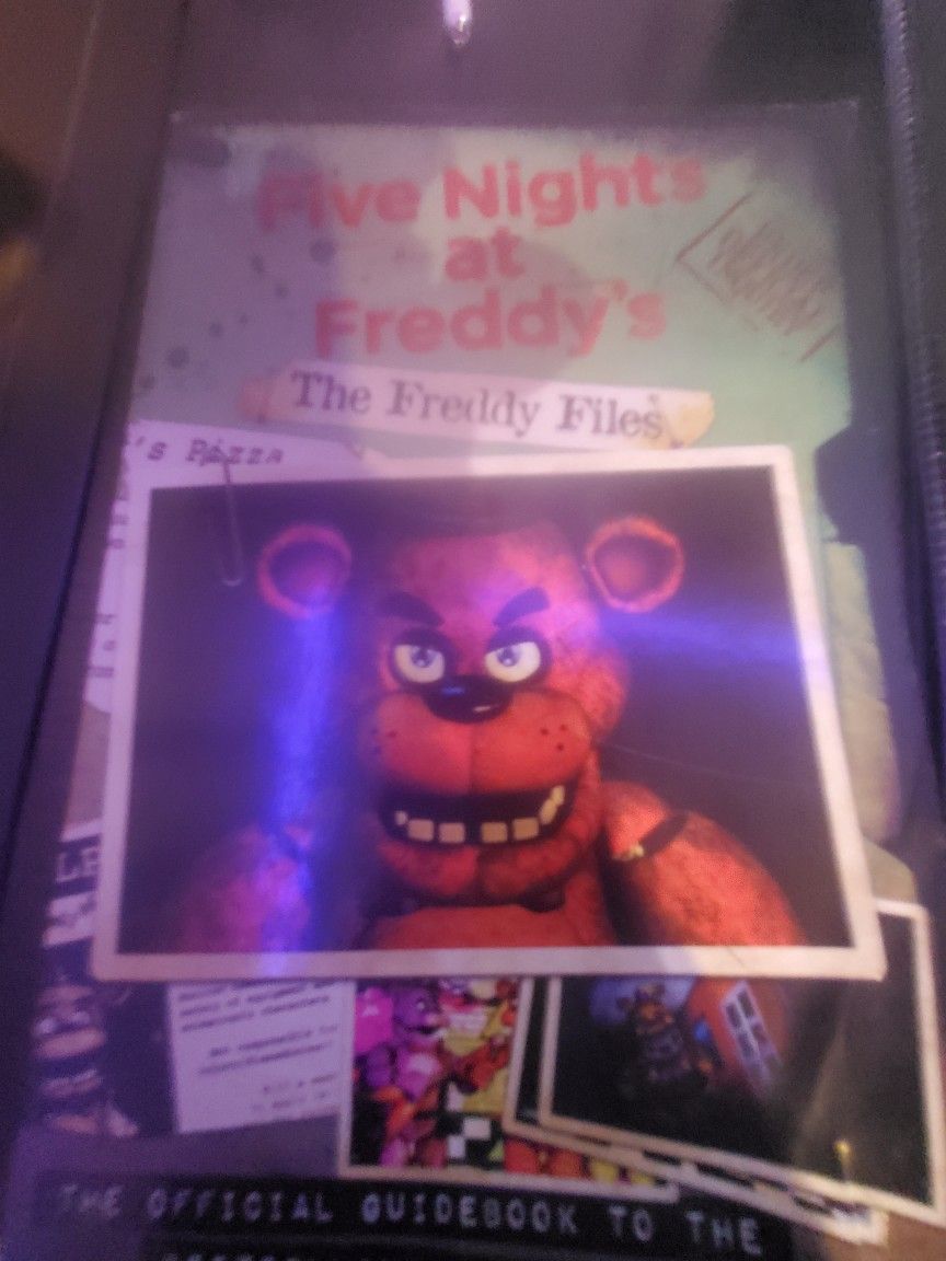 The Freddy Files:book