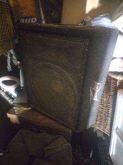 Large PA Speaker