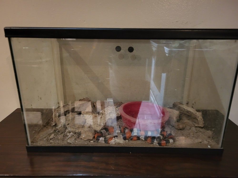 Reptile Tank And Accessories