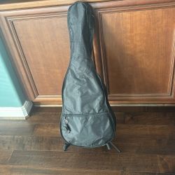 Guitar Case And Stand