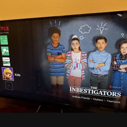 55 Inch Vizio Smart Tv 