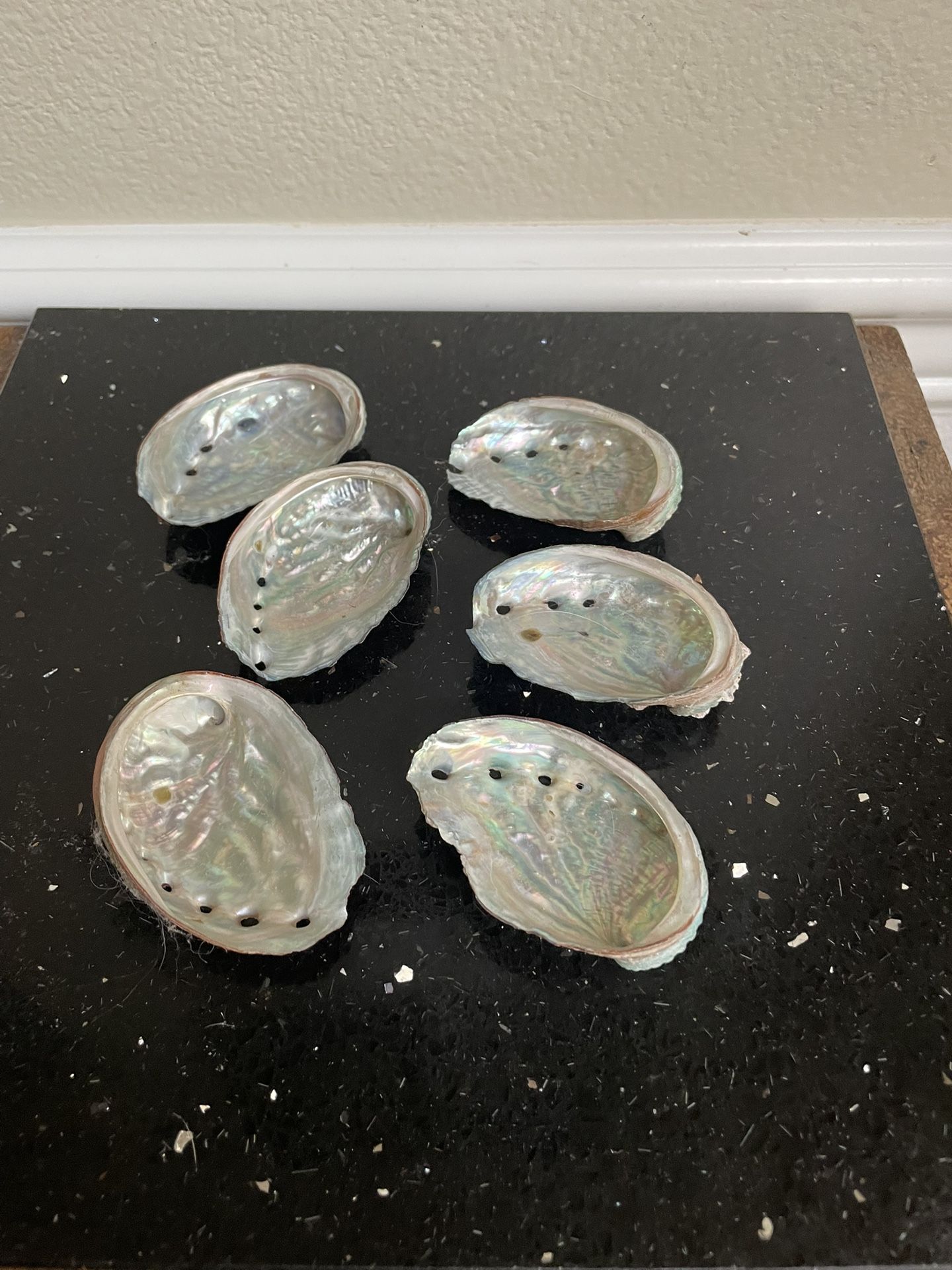 Set of 6 Abalone Shell Mini