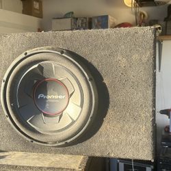 12 Inch Subwoofer 350 Watts RMS