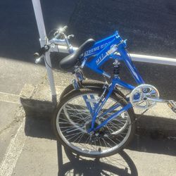 Folding Bike