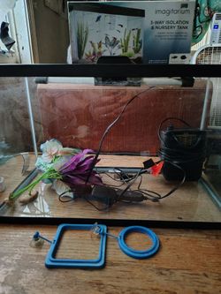 10 gallon aquarium with accessories